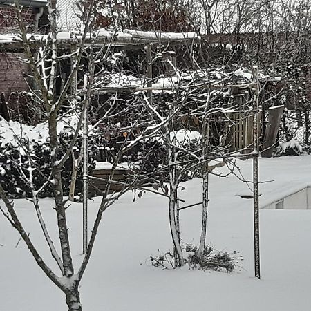 Chambre D'Hotes Beesel Reuver Zewnętrze zdjęcie